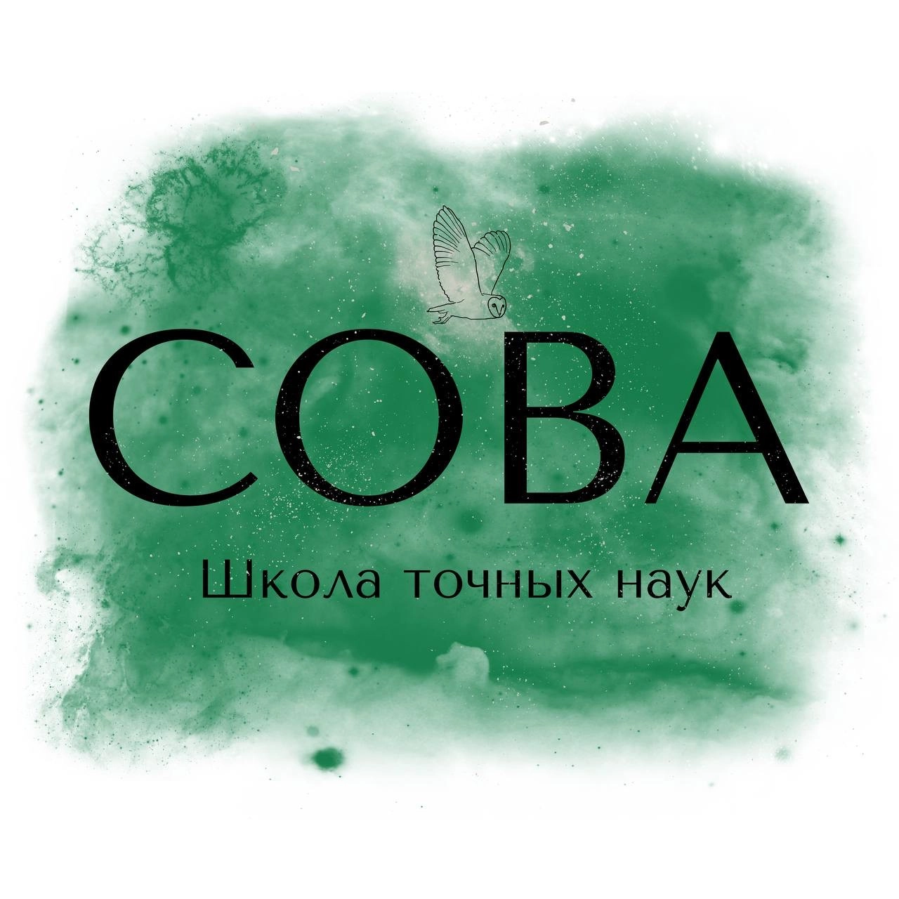 Большое фото 3