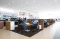 Миниатюра 9