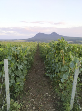 Винодельня "Tempelhof Winery"
