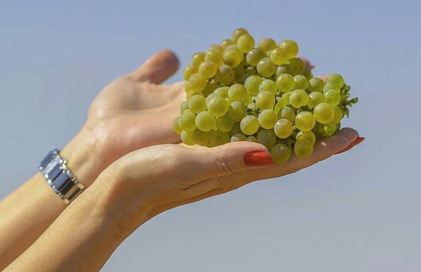 Винодельня "Покровская"