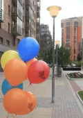 Миниатюра 8