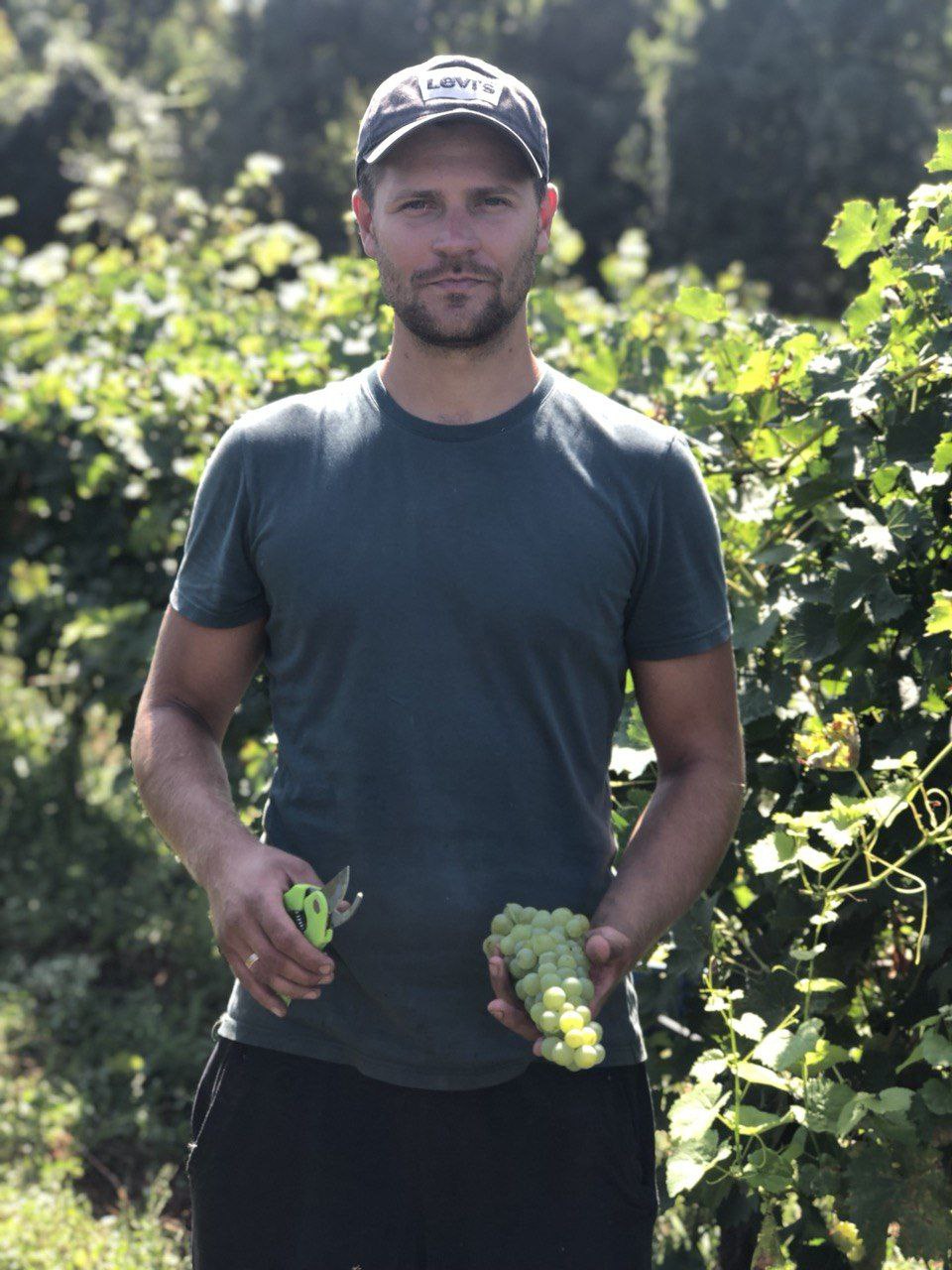 Винодельня Андрюса Юциса