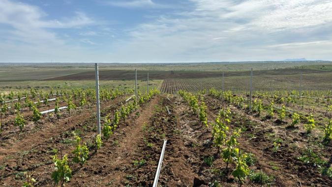 Винодельня "Domaine de la Vivandiere"
