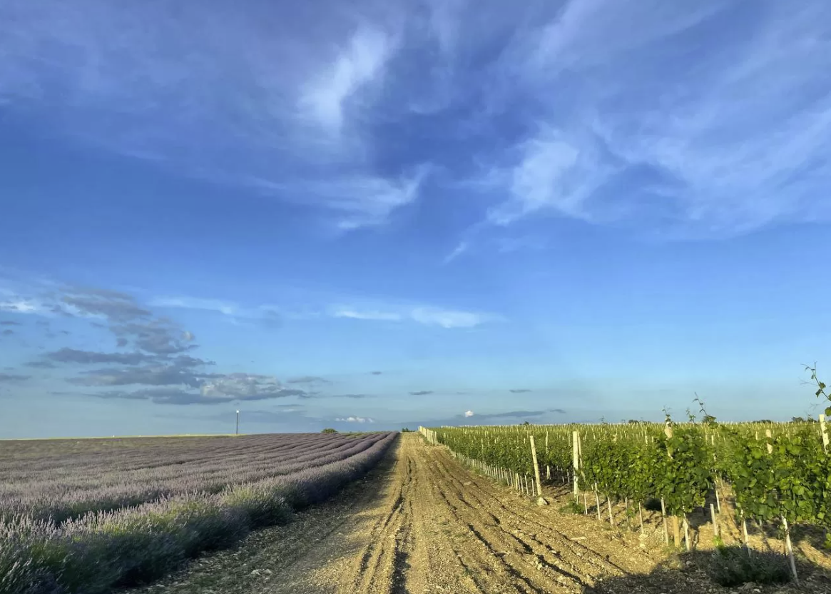 Винодельня "Ароматное"