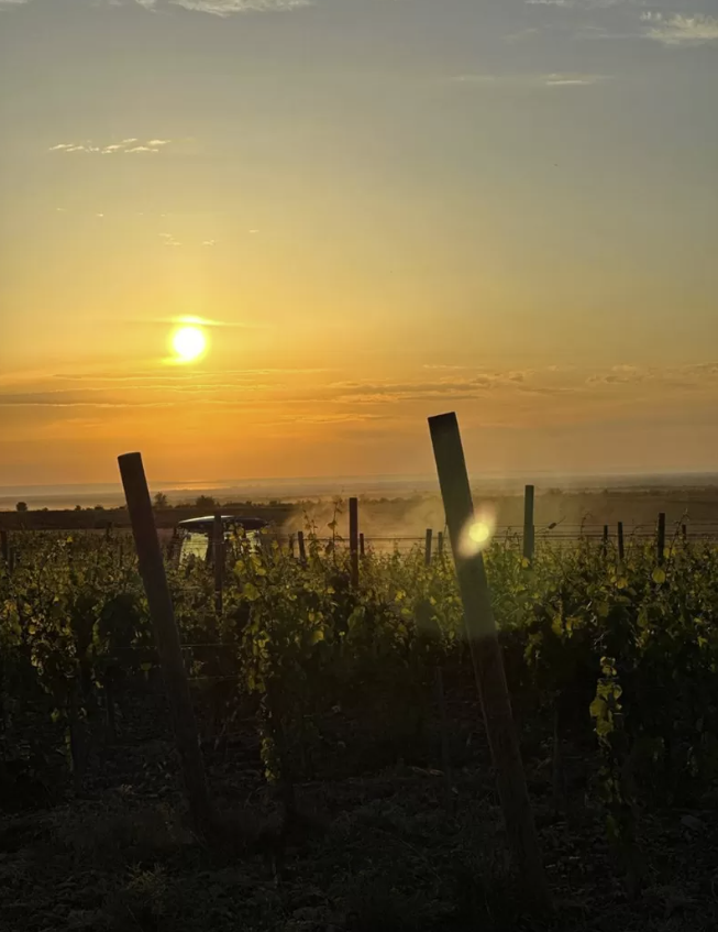 Винодельня "Ароматное"