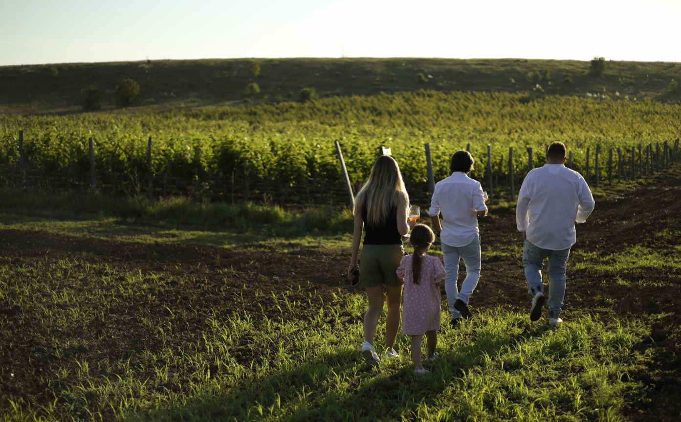 Винодельня "Плиогория"