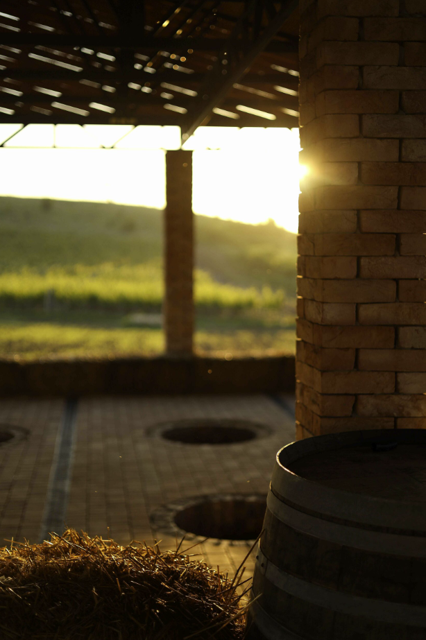 Винодельня "Плиогория"