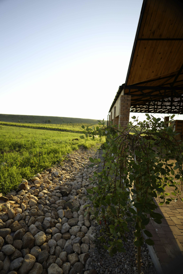 Винодельня "Плиогория"