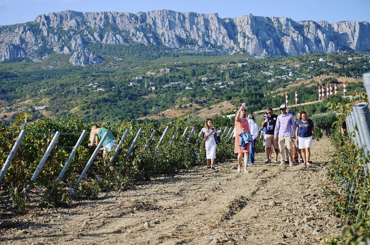 Винодельня "Плиогория"