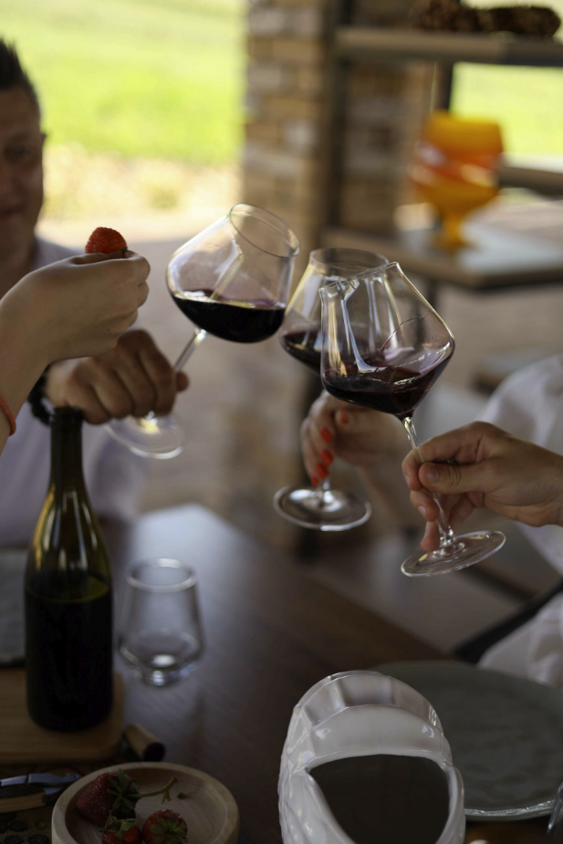 Винодельня "Плиогория"