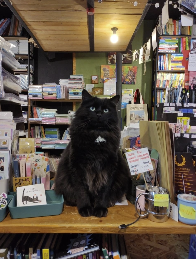​Книжный магазин "Кот учёный"