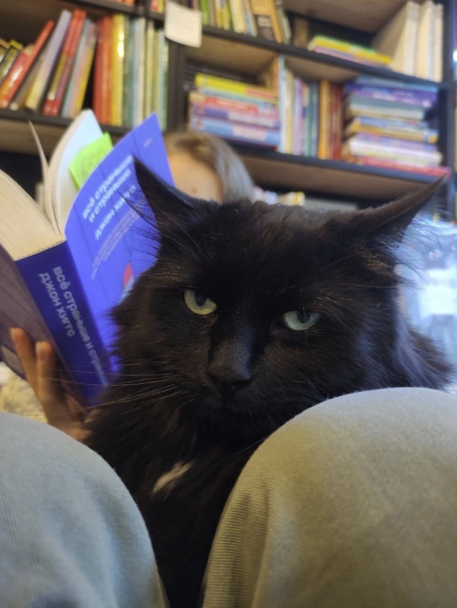 ​Книжный магазин "Кот учёный"