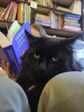 ​Книжный магазин "Кот учёный"