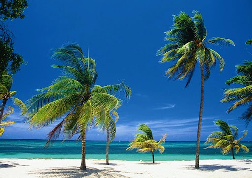 Турагентство Aristokrat Travel Agency в Баку: Тур, Путешествие, Экскурсия, Отпуск, Гид, Туризм,