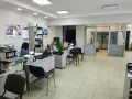 Миниатюра 6