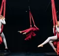 Миниатюра 13