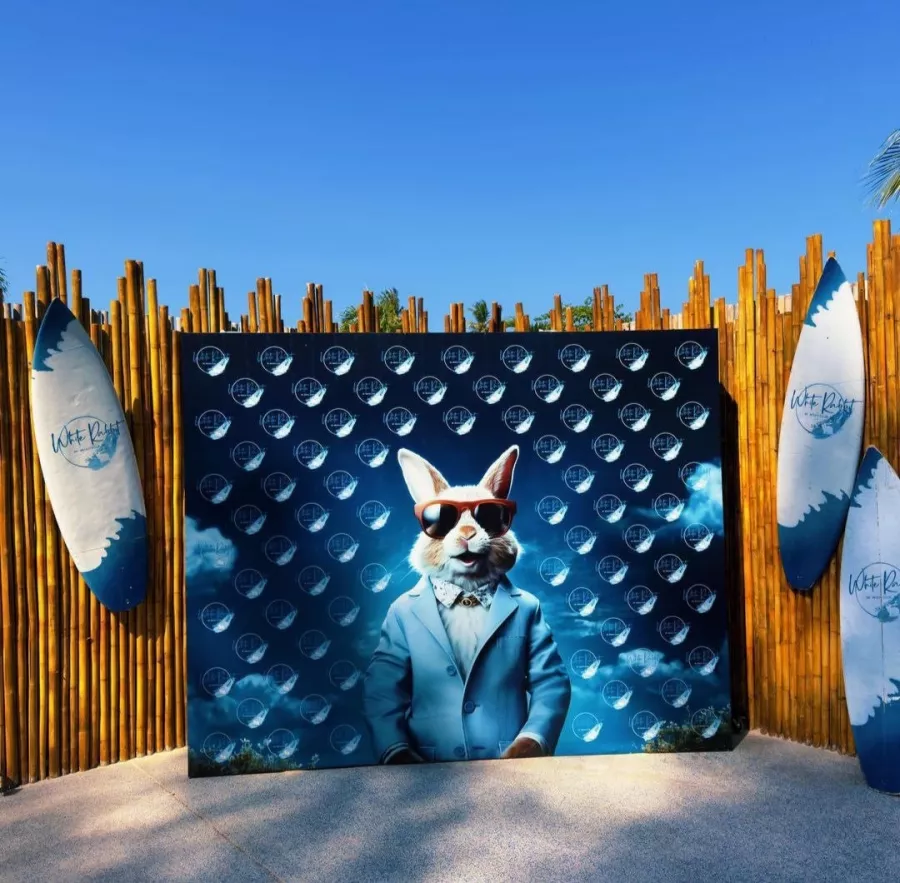 Пляжный Клуб White Rabbit в Пхукете: Отдых, Пляж, Диджей, Музыкально, Ресторан, Бар,