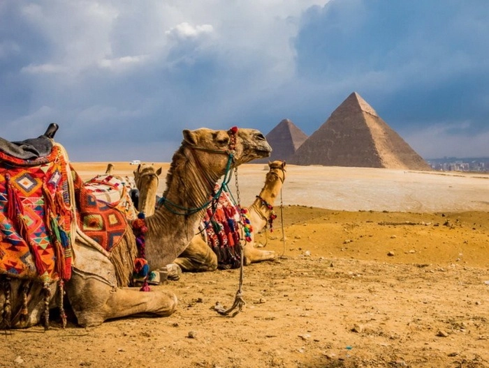 Туристическое Агентство Baku Life Travel в Баку: Тур, Путешествие, Экскурсия, Туризм, Отпуск, Гид,