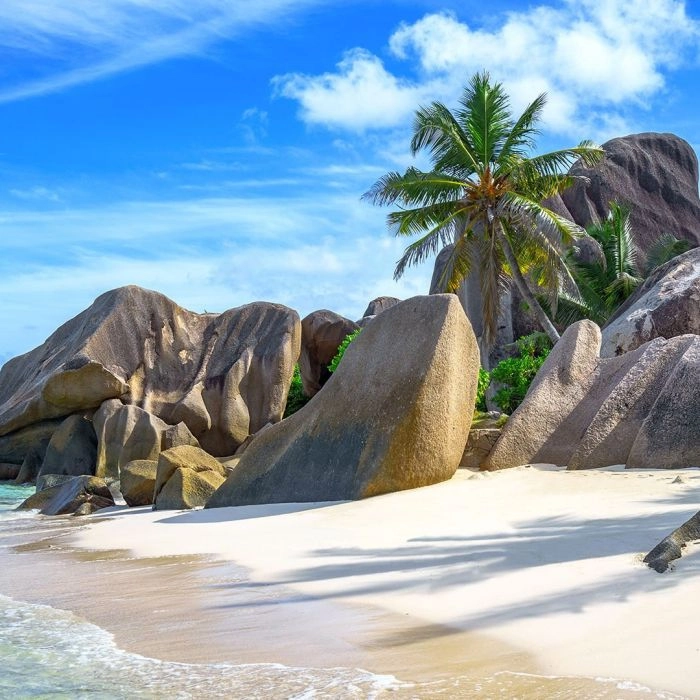 Туристическое Агентство Baku Life Travel в Баку: Тур, Путешествие, Экскурсия, Туризм, Отпуск, Гид,