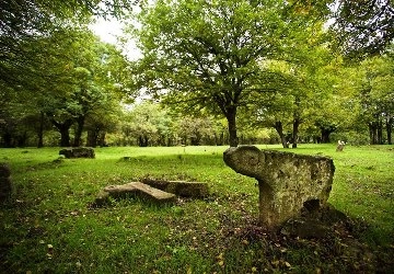 Турагентство Tour Guide Baku в Баку: Тур, Путешествие, Экскурсия, Отпуск, Туризм, Гид,