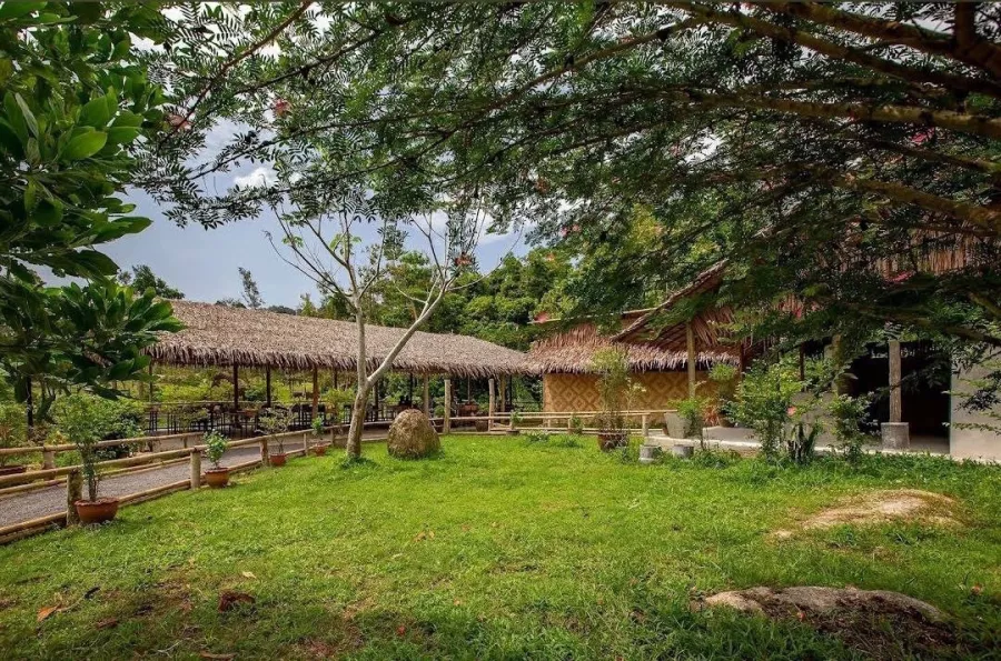 Заповедник Bukit Elephant Park в Пхукете: Животные, Туризм, Природа,