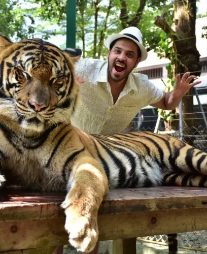 Заповедник Tiger Kingdom  в  Пхукете