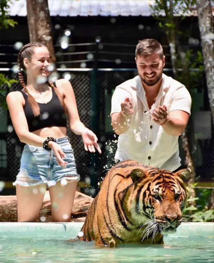 Заповедник Tiger Kingdom в Пхукете: Sanctuary , Nature, Tigers, Тигры, Заповедник , Природа,