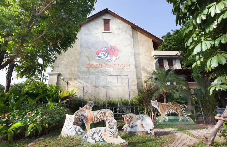 Заповедник Tiger Kingdom в Пхукете: Sanctuary , Nature, Tigers, Тигры, Заповедник , Природа,