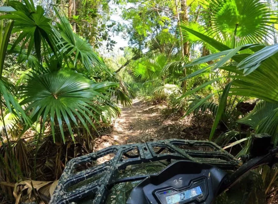 Прокат Квадроциклов Phuket ATV Tour в Пхукете: ATV, Waterfall, Jungles, Озеро, Водопад, Джунгли, Квадроциклы,