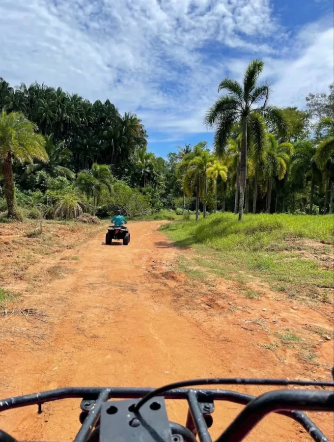 Прокат Квадроциклов Phuket ATV Tour в Пхукете: ATV, Waterfall, Jungles, Озеро, Водопад, Джунгли, Квадроциклы,