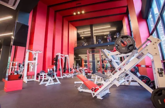 Фитнес-Клуб «Alpha Health Club»