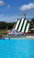 Миниатюра 11