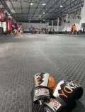 Миниатюра 13