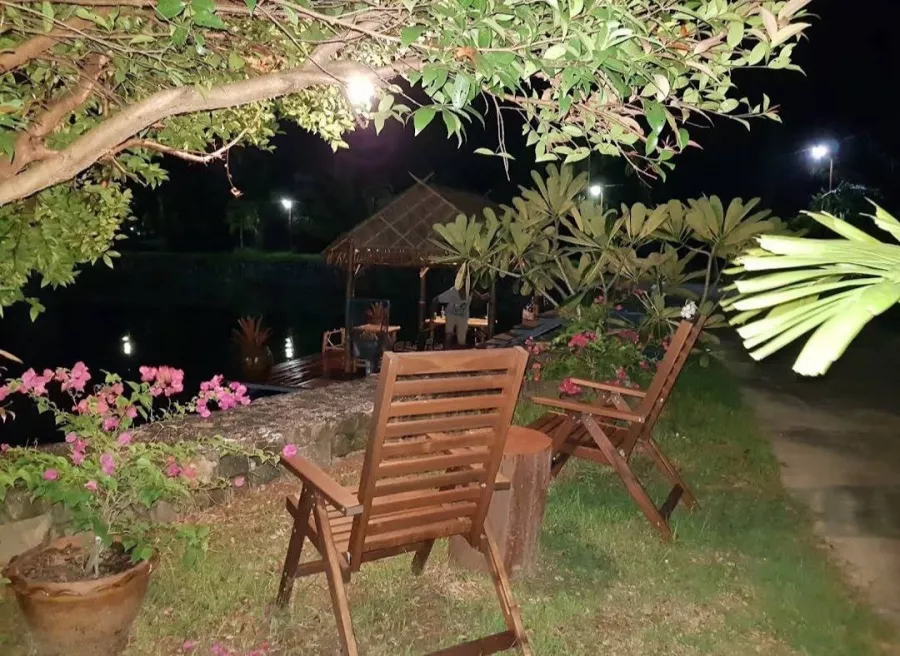Рыболовный Пруд Monster Fishing Park Phuket в Пхукете: Рыбы, Fishing, Fishes, Озеро, Lake, Рыбалка,