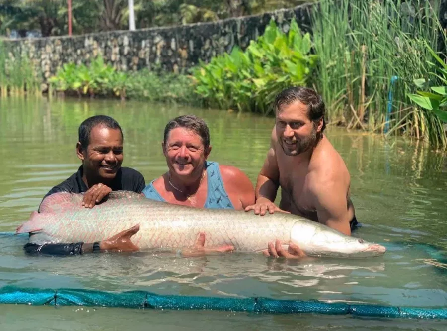 Рыболовный Пруд Monster Fishing Park Phuket в Пхукете: Рыбы, Fishing, Fishes, Озеро, Lake, Рыбалка,