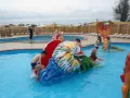 Миниатюра 7
