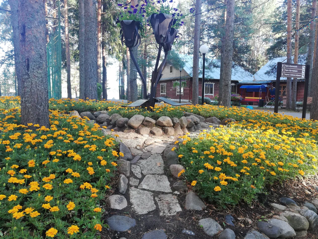 Большое фото 15
