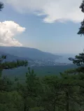 Миниатюра 3