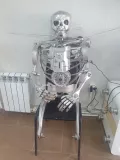 Миниатюра 7