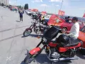 Миниатюра 12
