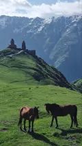 Миниатюра 4