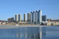 Миниатюра 8
