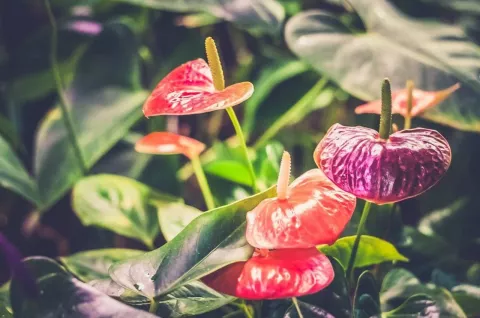 Фото 4