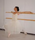 Миниатюра 10