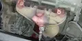 Миниатюра 15