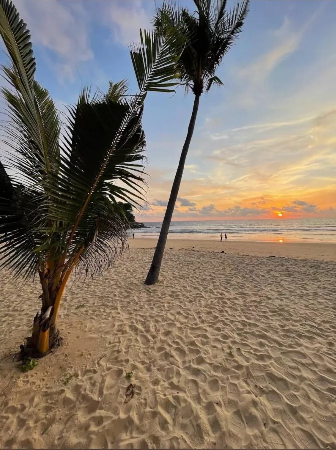 Пляжный Клуб Tann Terrace в Пхукете: Отдых, Пляж, Бар, Бассейн, Ресторан,