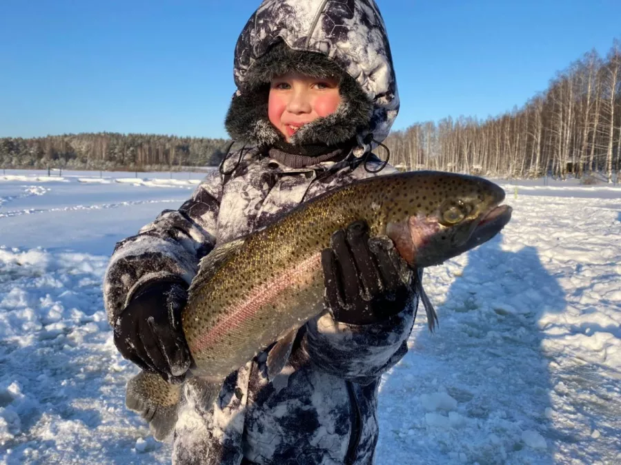 Шабровский Пруд - Платная Рыбалкаа в Екатеринбурге: Рыбалка, Озеро, Корпоратив,