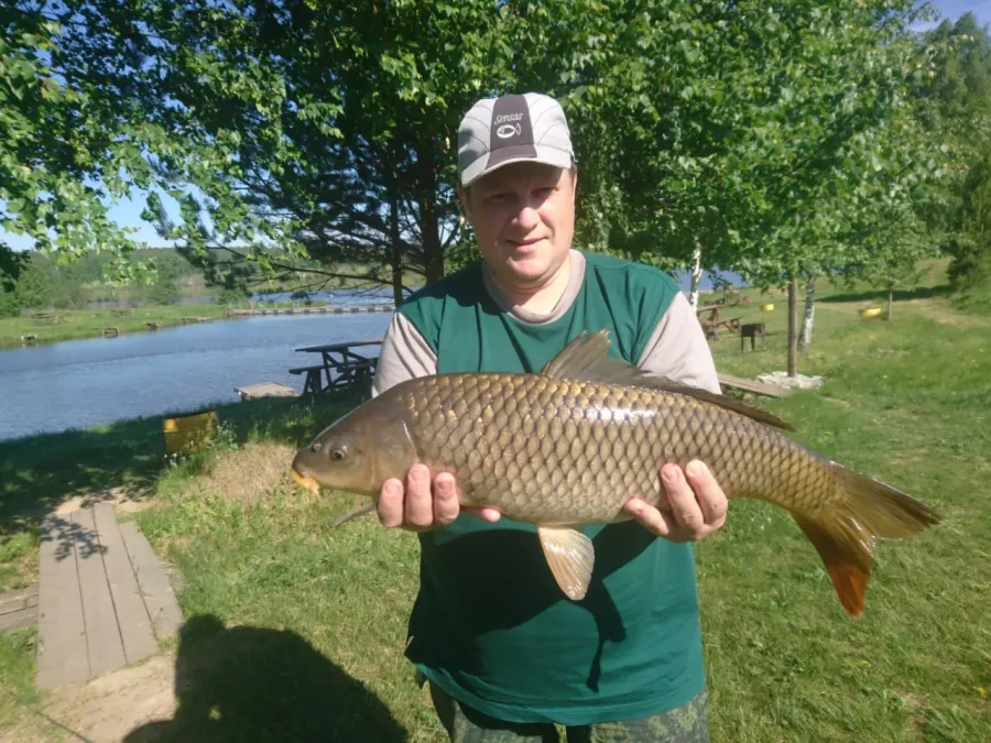 Шабровский Пруд - Платная Рыбалкаа в Екатеринбурге: Рыбалка, Озеро, Корпоратив,