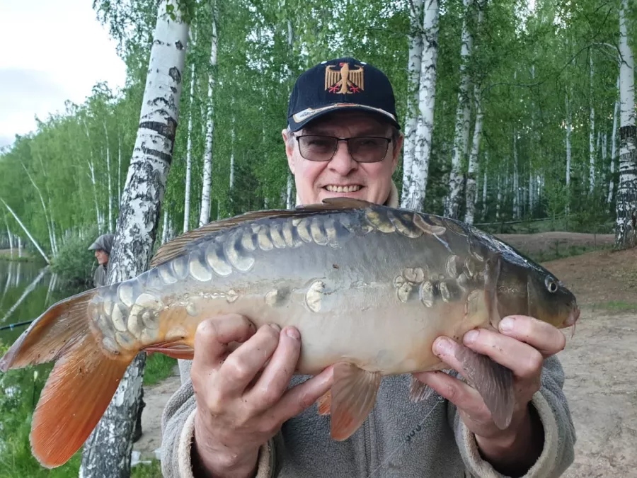 Шабровский Пруд - Платная Рыбалкаа в Екатеринбурге: Рыбалка, Озеро, Корпоратив,