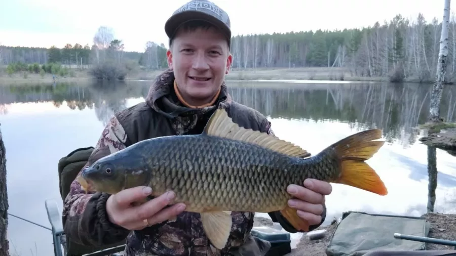 Шабровский Пруд - Платная Рыбалкаа в Екатеринбурге: Рыбалка, Озеро, Корпоратив,